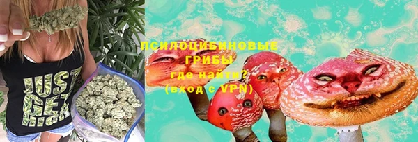 винт Арсеньев