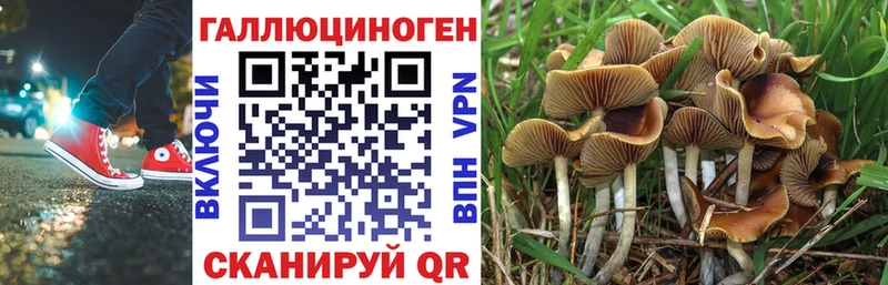 Псилоцибиновые грибы GOLDEN TEACHER Урюпинск